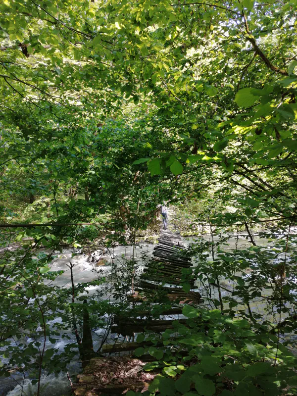 sochi_hiking 2