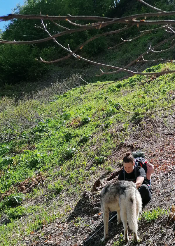 sochi_hiking 8