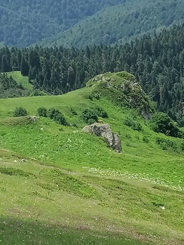 sochi_hiking 9