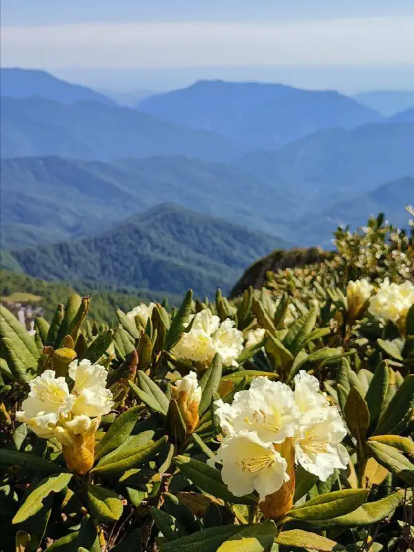 sochi_hiking 10