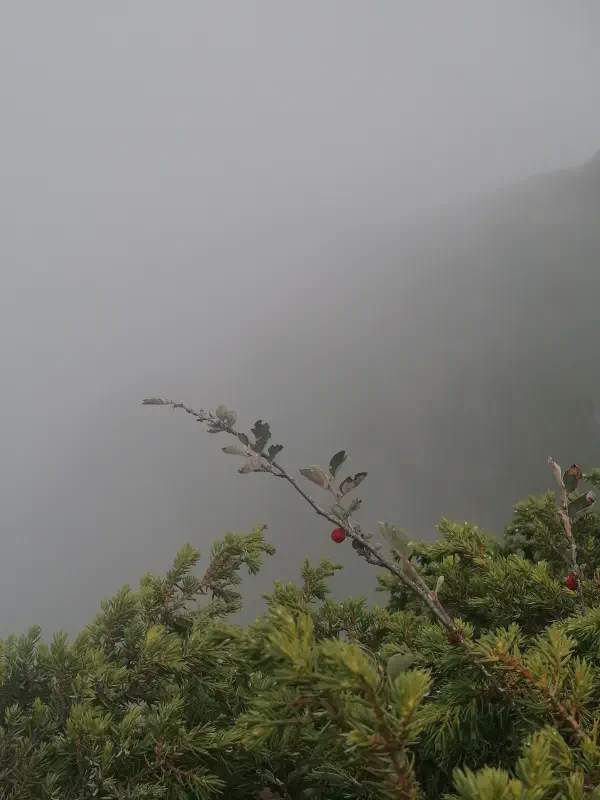 sochi_hiking 11