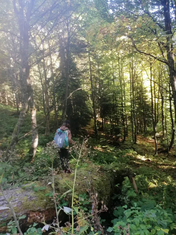 sochi_hiking 13