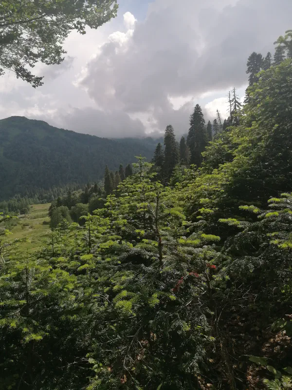 sochi_hiking 14