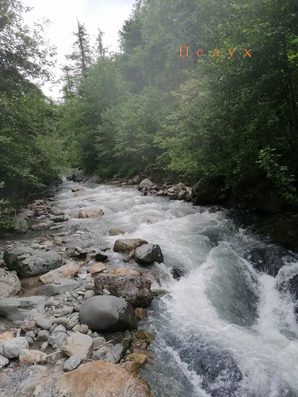 gornaya_reka_sochi 6